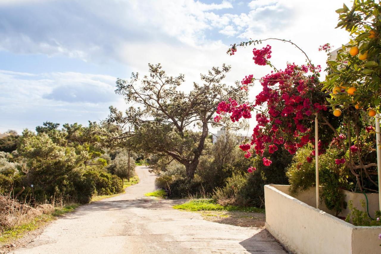 Konstantinos Villa Koutsourás Dış mekan fotoğraf