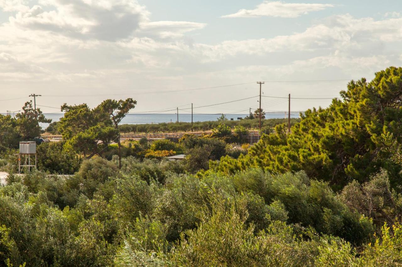Konstantinos Villa Koutsourás Dış mekan fotoğraf